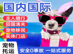 白城空运公司国际宠物托运 【国